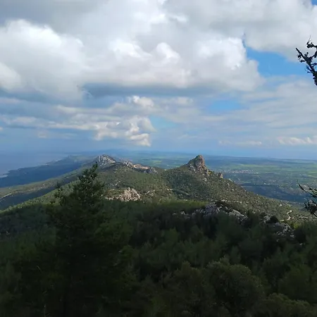 Courtyard Long Daire