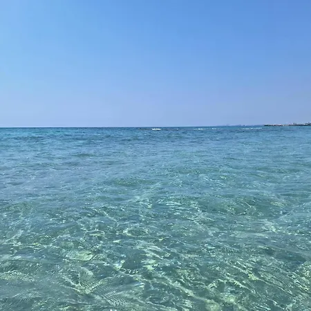 Courtyard Long Daire *