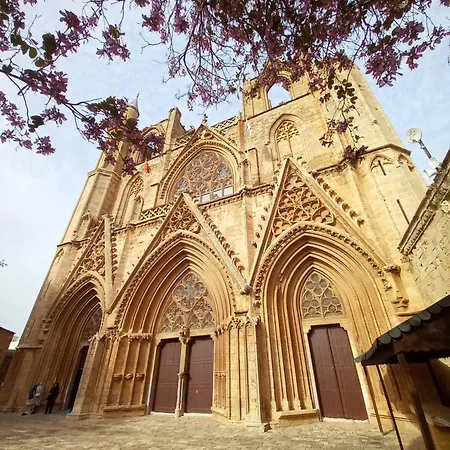 Daire Courtyard Long *