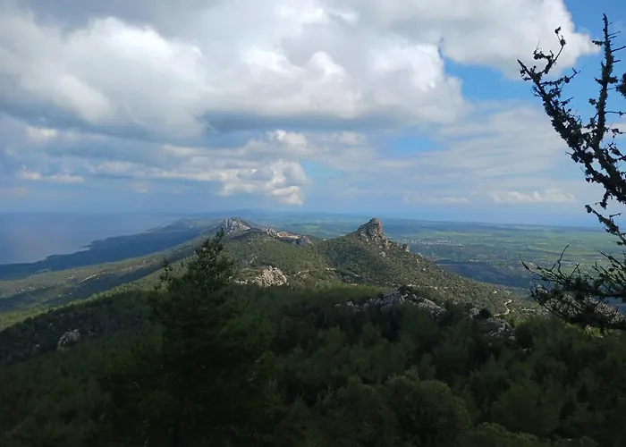 Courtyard Long Apartment