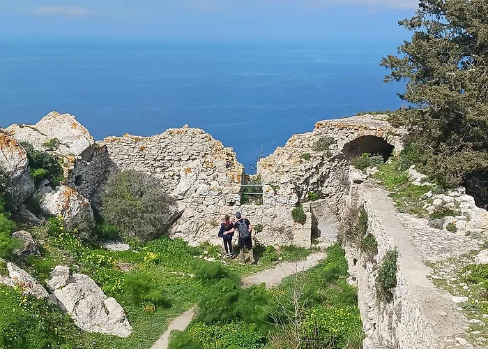 Courtyard Long Apartment